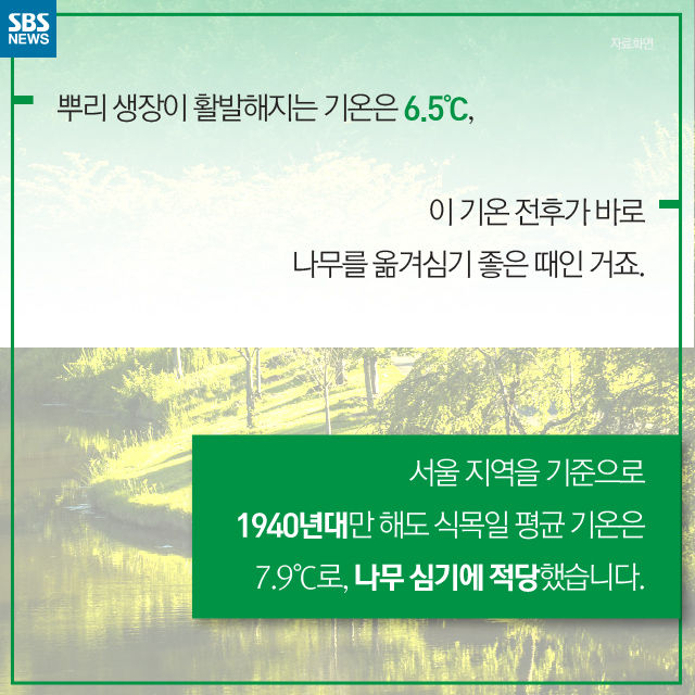 메인이미지  5 : 