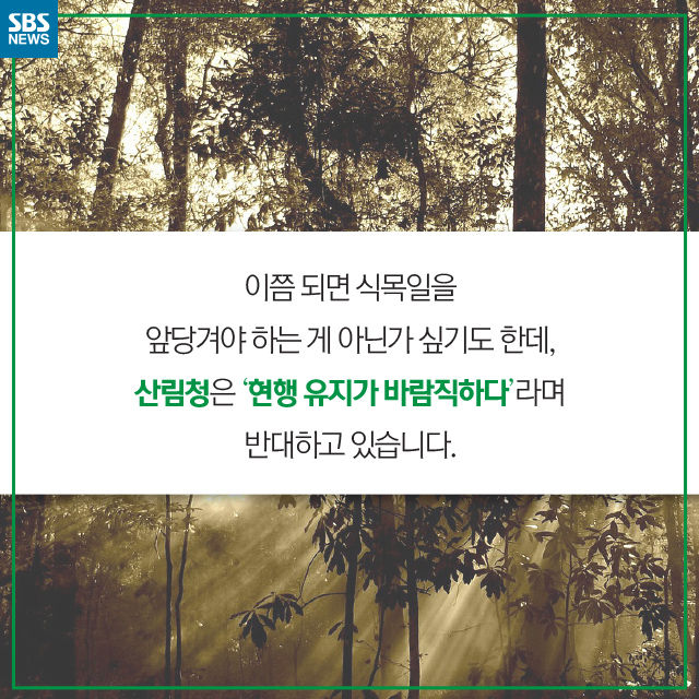 메인이미지  9 : 