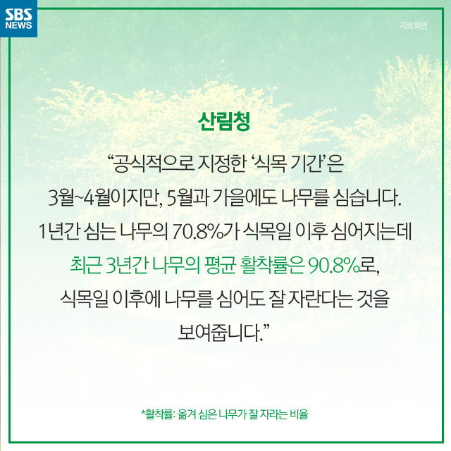 메인이미지  12 : 