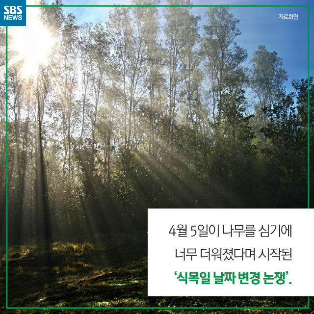 메인이미지  13 : 