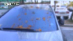 [자막뉴스] "왜 양보 안 해!" 보복운전&hellip;차량 쫓아 오물 투척