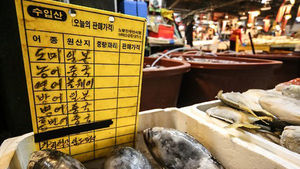 정부, 일본 수산물 방사능 평가결과 비공개 결정