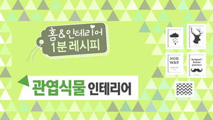 '식물 인테리어'가 뜬다?&hellip;공간에 맞춘 똑똑한 배치법
