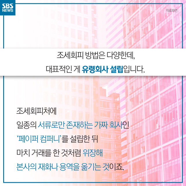 메인이미지  5 : 