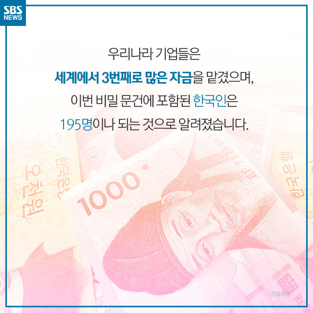 메인이미지  11 : 
