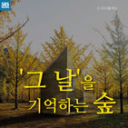 섬네일이미지  1:
