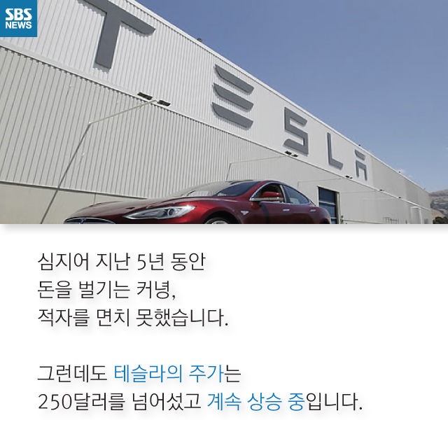 메인이미지  13 : 