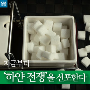 [카드뉴스] "하루 각설탕 17개 이하로"&hellip;당 섭취 줄이기 전쟁