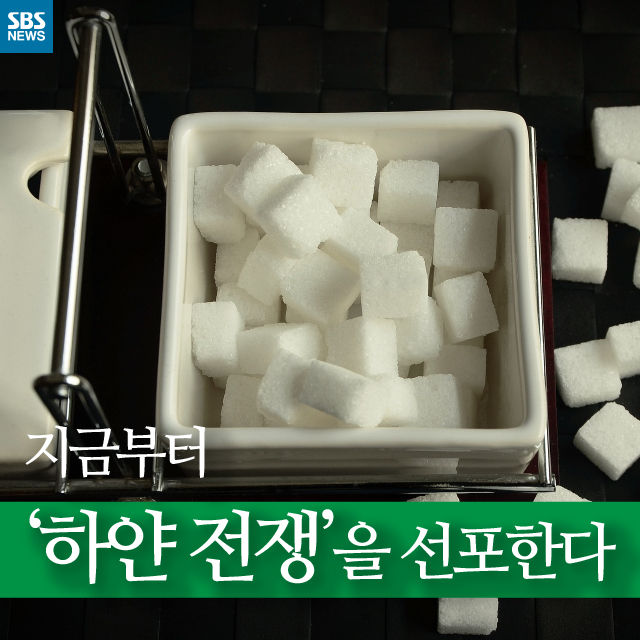 메인이미지  1 : 