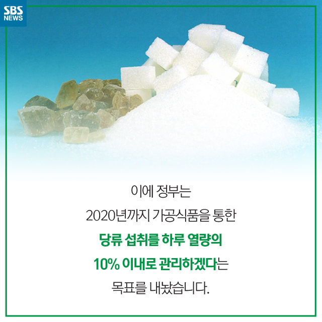 메인이미지  8 : 
