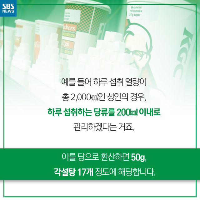 메인이미지  9 : 
