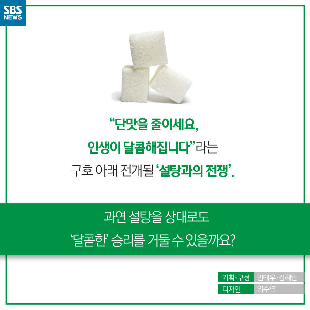 메인이미지  15 : 