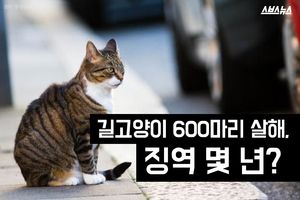 '고양이 600마리 살해했는데'&hellip;너무 가벼운 처벌