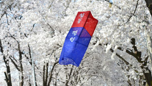 [슬라이드 포토] 충북 제천 '청풍호 벚꽃축제'