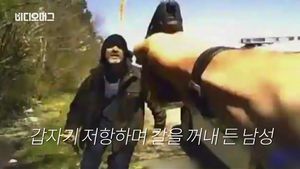'지킬과 하이드'?&hellip;고속도로 위 행인의 충격 정체