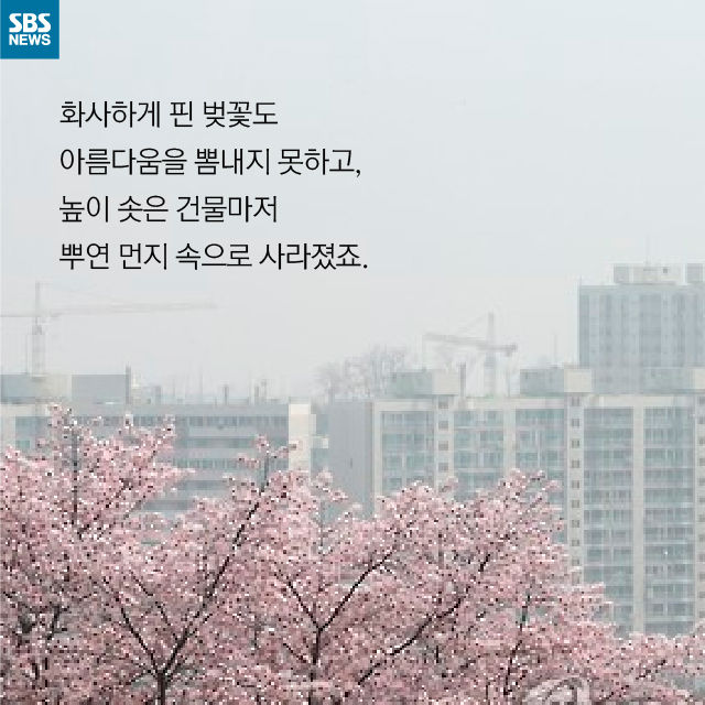 메인이미지  4 : 