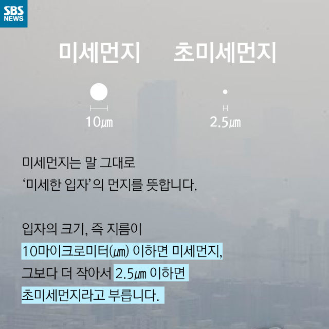 메인이미지  6 : 