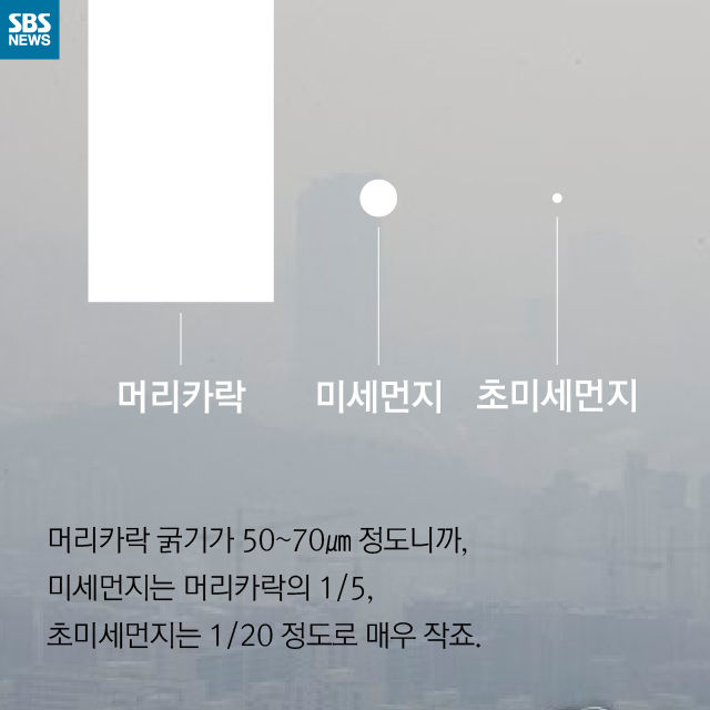 메인이미지  7 : 