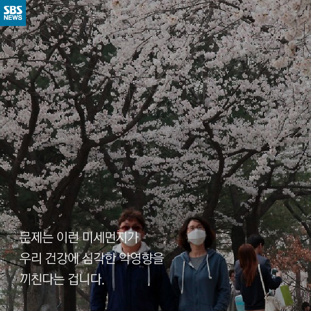 메인이미지  8 : 