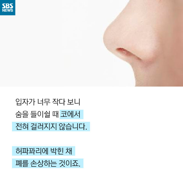 메인이미지  9 : 