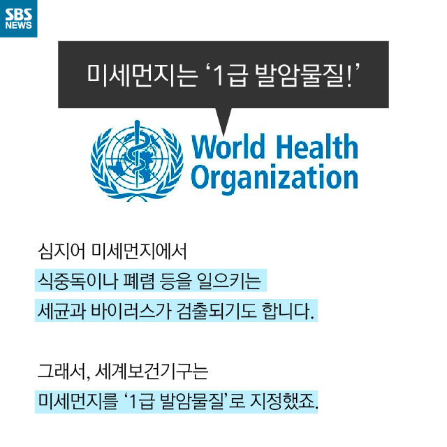 메인이미지  10 : 