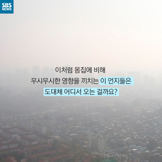 메인이미지  11 : 