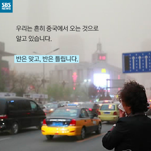 메인이미지  12 : 