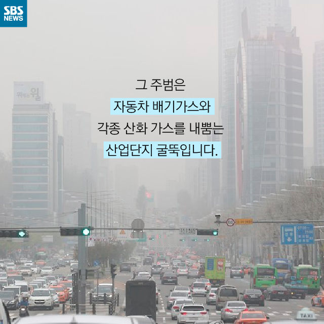 메인이미지  15 : 