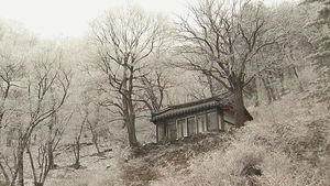 '봄꽃 위에 눈꽃'&hellip;4월에 펼쳐진 오대산 설경