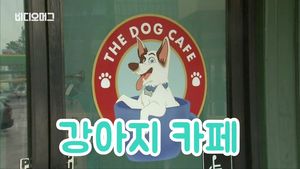 애견 카페도 한류? 미국인들 반응은&hellip;