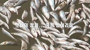강변에 은빛 모래?&hellip;가까이 가보니 '죽음의 현장'