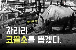 '널 뽑느니 코뿔소를 뽑겠다'&hellip;이유 있는 선택