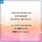 섬네일이미지  2: