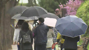 전국에 약한 비&hellip;오후에 그친 뒤 '옅은 황사'
