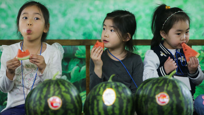 메인이미지  2 : 14일 오후 서울 서초구 양재동 농협하나로마트 양재점에서 열린 '꼭지짧은 수박 대고객 홍보 행사'에서 어린이들이 꼭지짧은 수박을 맛보고 있다. 