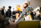 섬네일이미지  1:4.16세월호 참사 2주기를 하루 앞둔 15일 오후 서울 광화문 광장 세월호 분향소 앞에서 한 학생이 꽃을 들고 있다.