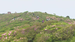'민족의 영산' 태백산, 22번째 국립공원 됐다