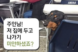 강의실 한 켠에서 잠에 빠진 강아지&hellip;이색 풍경