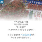 섬네일이미지  3: