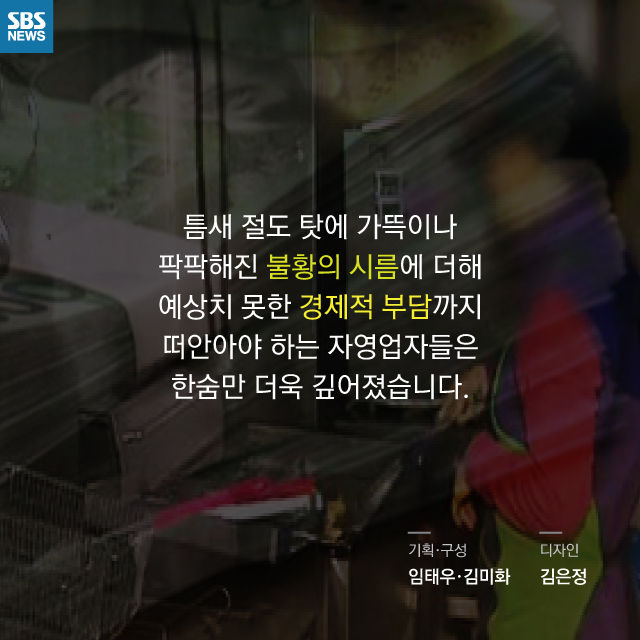 메인이미지  11 : 