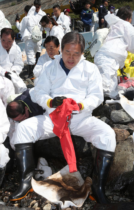 메인이미지  2 : 김무성 새누리당 대표가 19일 화물선 '오션탱고호'가 좌초한 사고 현장인 부산 영도구 절영해안산책로에서 방제복을 착용하고 기름을 제거하고 있다. (부산=연합뉴스)