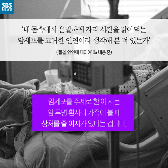 메인이미지  7 : 
