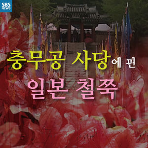 [카드뉴스] '충무공 사당'에 활짝 핀 붉은 꽃&hellip;'반전 정체'