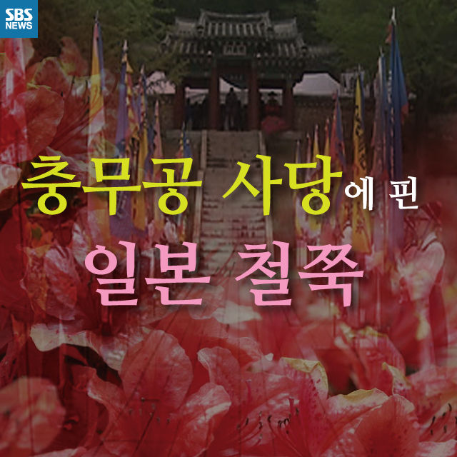 메인이미지  1 : 
