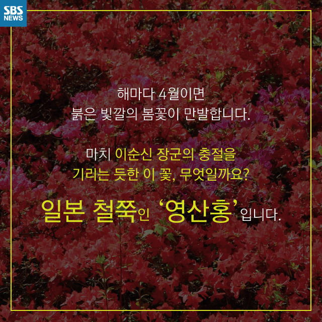 메인이미지  3 : 