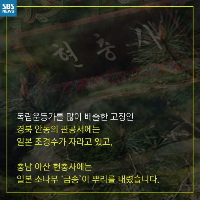 메인이미지  5 : 