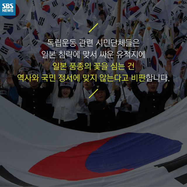 메인이미지  7 : 