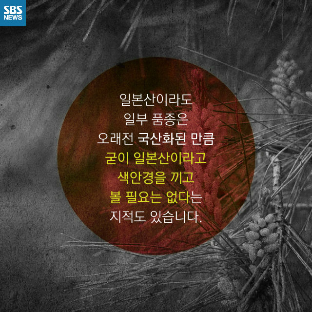 메인이미지  10 : 