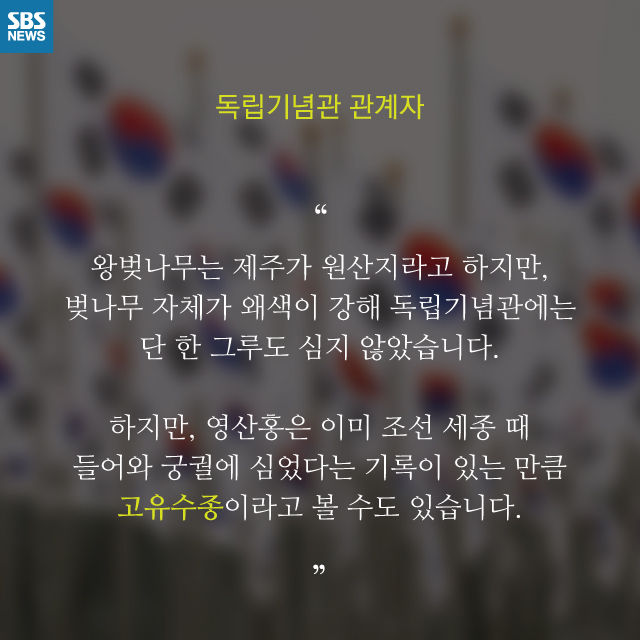 메인이미지  11 : 