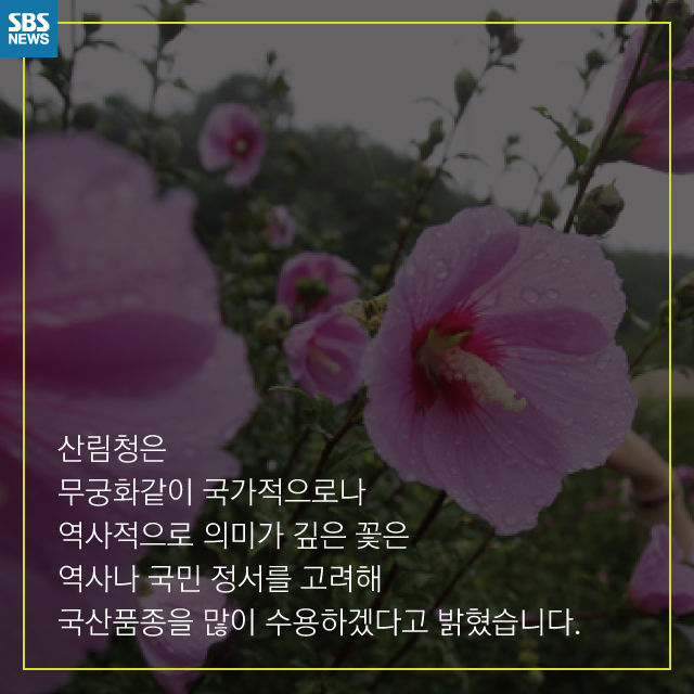 메인이미지  12 : 